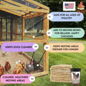 Best Eggs Ever! Aspen Chicken Nesting Pads with Herbs with Lavender & Chamomile
