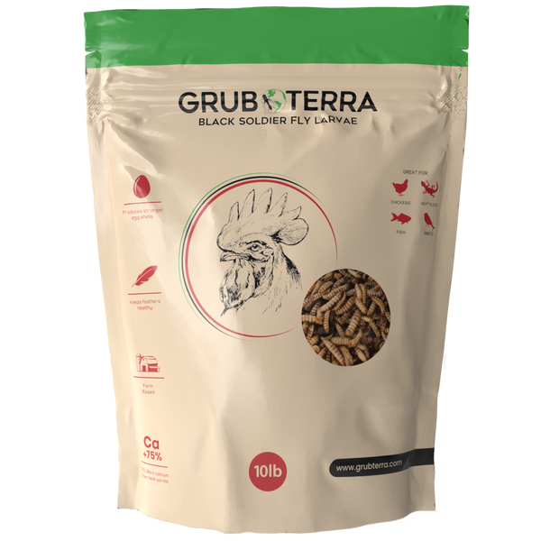 GrubTerra Dried Black Soldier Fly Larvae 10lb