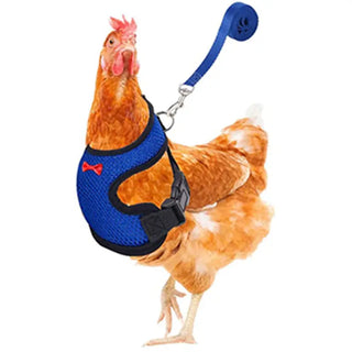 Buy blue Breathable Adjustable Chicken Harness - Perfect for Ducks, Geese, and Other Poultry Pets