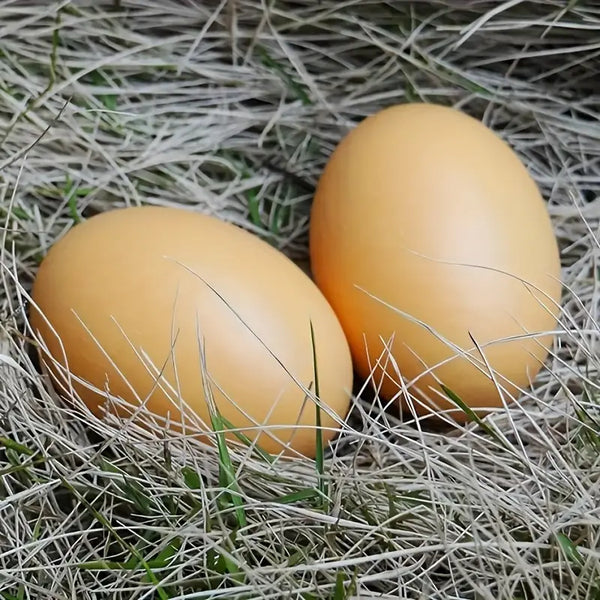 Chicken Coop Training Eggs (3 pack)