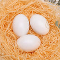 Chicken Coop Training Eggs (3 pack)