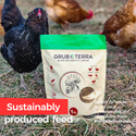 GrubTerra Dried Black Soldier Fly Larvae 10lb