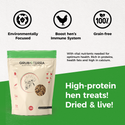 GrubTerra Dried Black Soldier Fly Larvae 10lb