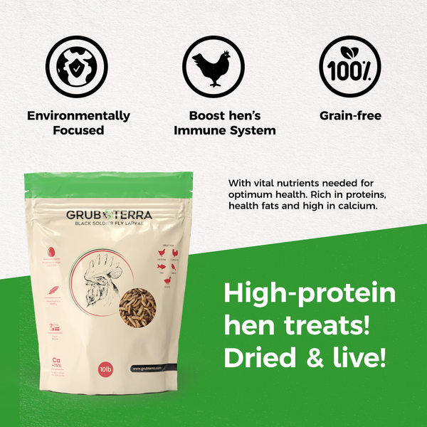 GrubTerra Dried Black Soldier Fly Larvae 10lb