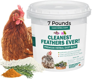 Cleanest Feathers Ever! 7 Pounds