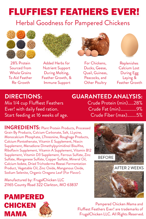 Fluffiest Feathers Ever! Chicken Feed Supplement For Great Feathers