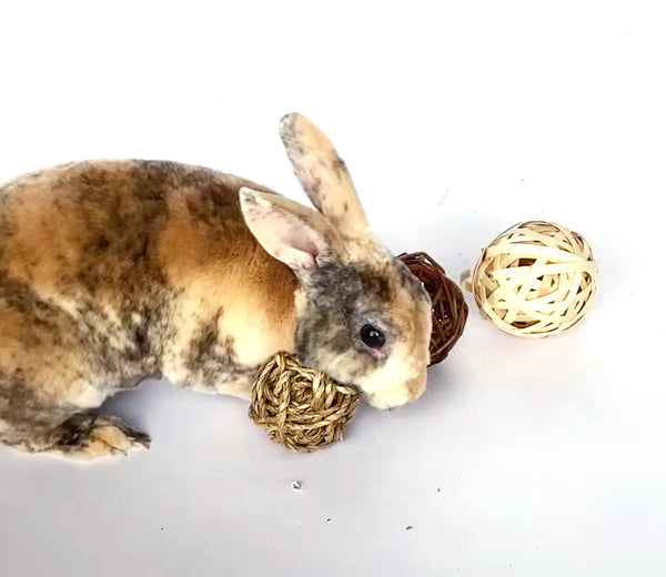 All Natural Grass Balls for Rabbits and Small Animals | Dahlia Pets