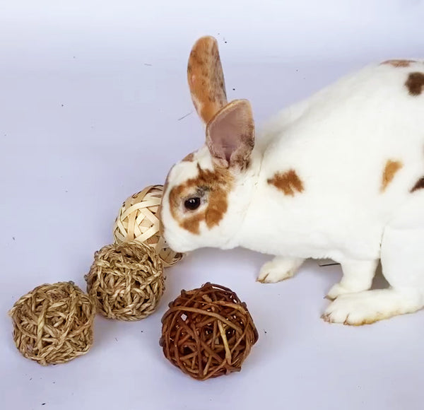 BunLuv Sea Grass Ball Chew Toy For Rabbits