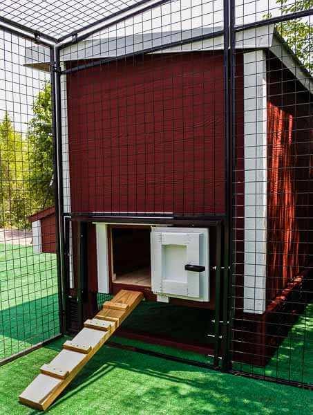 Walk-In 8 ft. Chicken Run (6'6