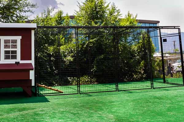 Walk-In 15 ft. Chicken Run (6'6