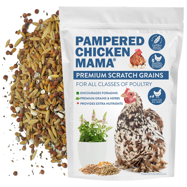 Premium Chicken Scratch With Herbs To Encourage Positive Behaviors