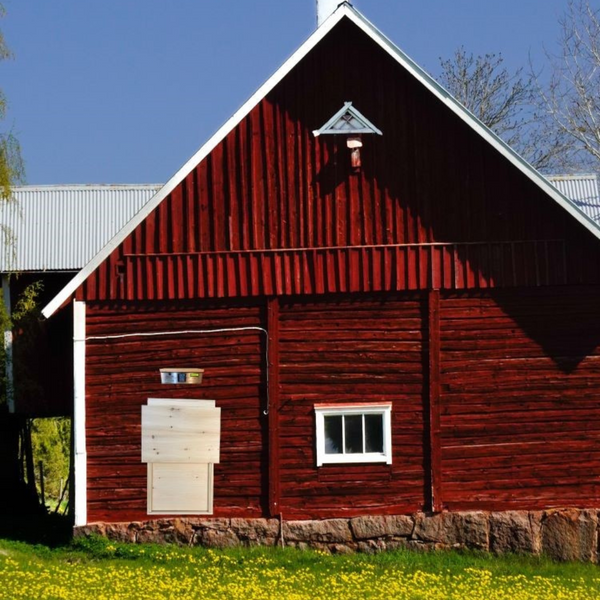 WiFi Solar Chicken Coop Door 21Wx18H Opening