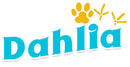 Premium Pet Water & Food Bowl - Perfect for Dogs & Cats! | Dahlia Pets