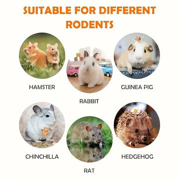 Natural Timothy Hay and Flowers Teething Toys: Suitable For