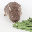 Natural Timothy Grass Stick, Chew Toys for Rabbit, Guinea Pig, Hamster, and Other Small Animals