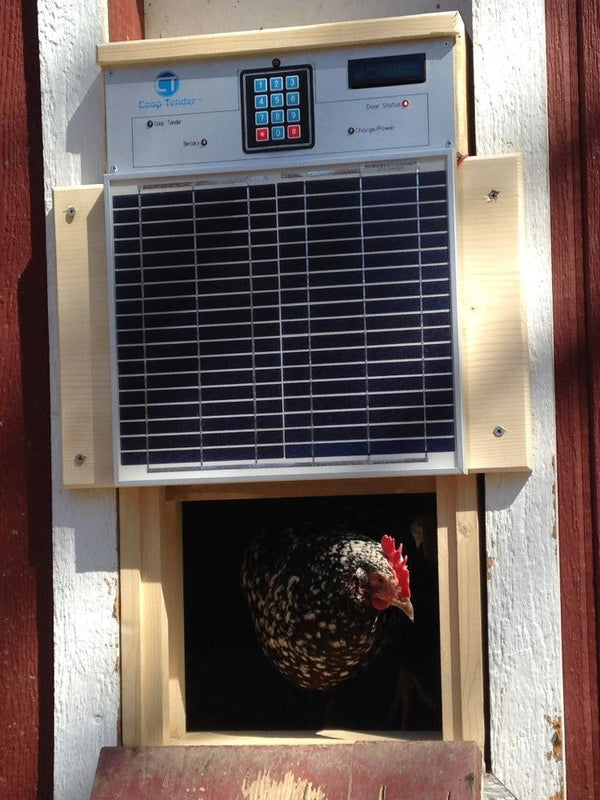 Solar Chicken Coop Door