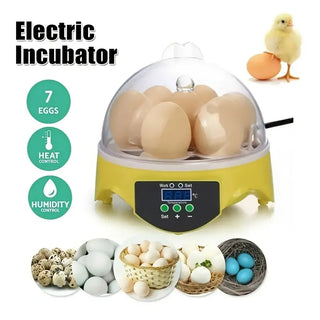 7 Egg Incubator