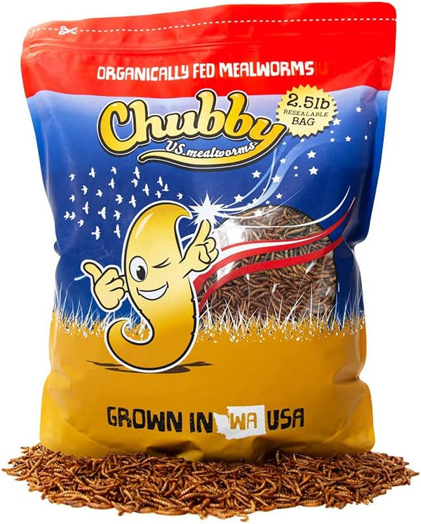 Chubby Mealworms: USA-Grown, Non-GMO, & Organically Grown