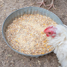 Fluffiest Feathers Ever! Chicken Feed Supplement For Great Feathers ...