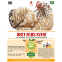 Best eggs ever! nesting herbs for pet chickens label
