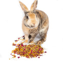 Bun's Rescue Rabbit Bakery Forage Herbs For Rabbits, Guinea Pigs, Hamsters, Chinchillas, & Other Small Animals