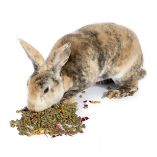 BunLuv Herbal Rabbit Feed 25 pounds