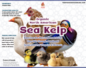 North Atlantic Kelp For Extra Vitamins, Minerals, & Amino Acids For Pet Chickens & Ducks