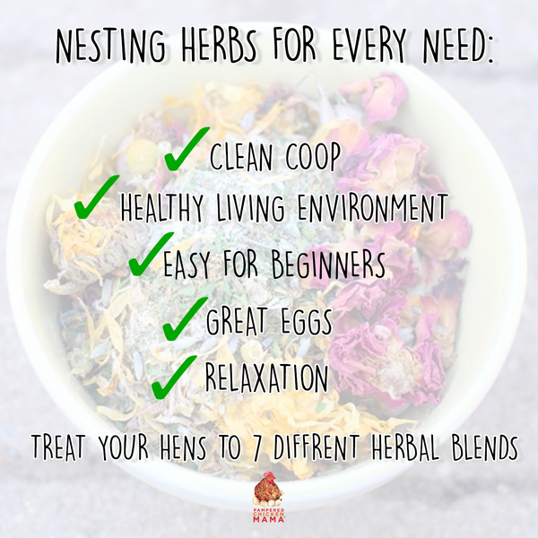 Infographic explaining benefits of Nesting Herbs for pet chickens