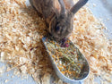 BunLuv Hay & Herb Treat For Rabbits, Guinea Pigs, Hamsters, & Chinchillas