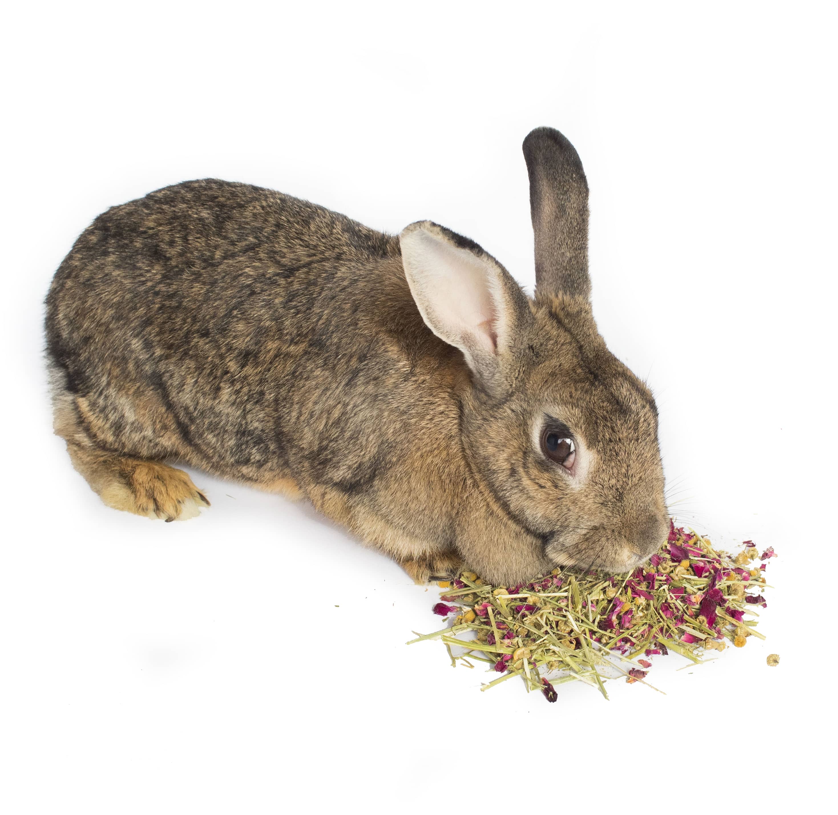 Calming Forage Mix For Rabbits, Guinea Pigs, Hamsters, and Chinchillas ...
