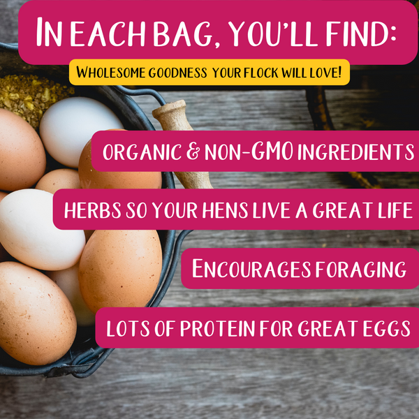 Omega Burst: Omega Rich Treat For Great Eggs & Feathers!