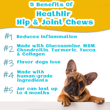 Human glucosamine top chondroitin for dogs