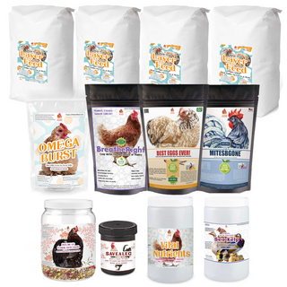 Healthy Chickens on Autopilot: The Ultimate Bundle That Makes Raising Healthy Layers Easy!