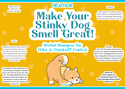 Make Your Stinky Dog Smell Great! Herbal Shampoo For Dogs (8 ounces)