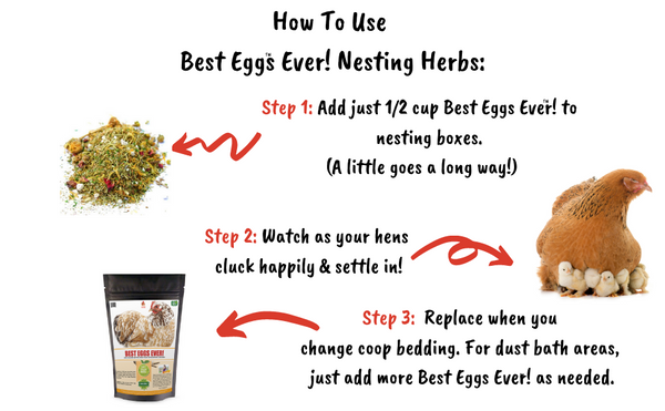 explainer photos showing how to use Best eggs ever! nesting herbs for pet chickens