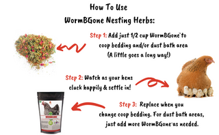 how to use WormBGone Nesting Herbs For Pet Chickens infographic