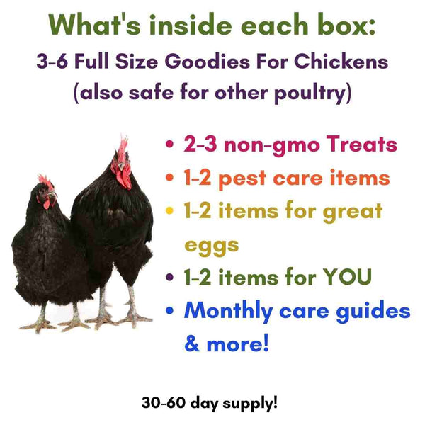 Clucks Of Joy Subscription Box: Non-GMO Treats Delivered Monthly!